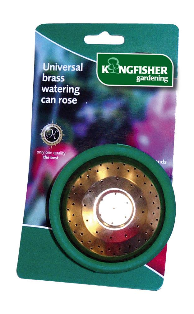 (image for) Metal Watering Can Rose